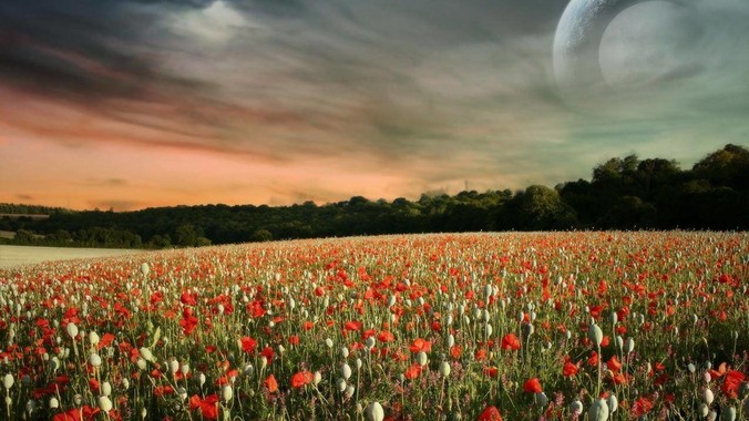 女生身高 170cm 以上是什么样的体验？